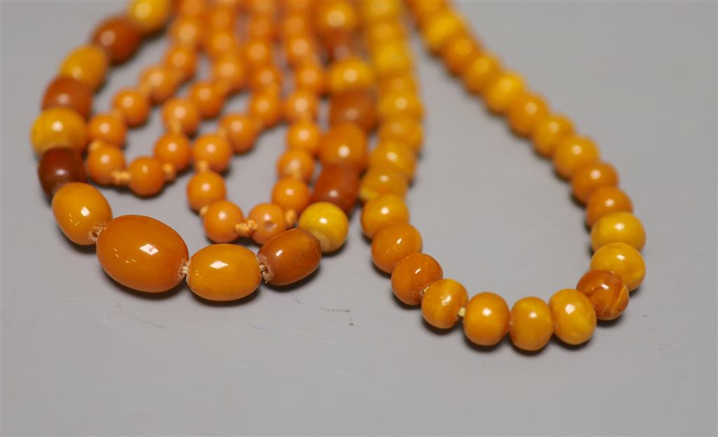 Two single strand amber bead necklaces, 106cm and 88cm, gross 95 grams and a reconstituted amber? necklace.